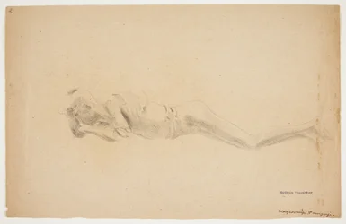 Study of a Plaster Cast from Pompeii. Lying Man