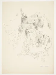 Study of Branches