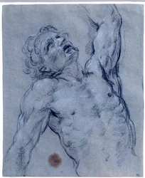 Half-figure of Naked Man, Flips Back, Pretending to Suffer