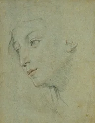 The Head of a Woman Looking Down to the Left