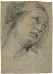 The Head of a Young Woman Looking Upward