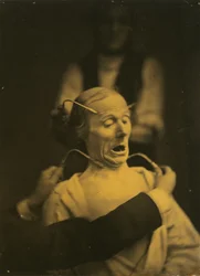 Expression of Terror, 1854-1856, Printed 1862