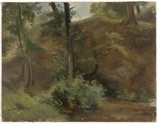 Trees in a Dune Landscape