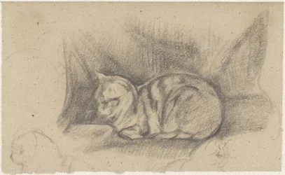 Lying Cat Facing Left