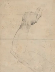 Study of an Arm