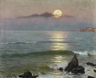Moonlight