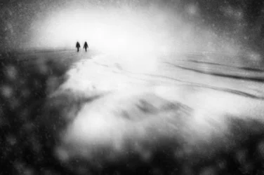 Dreamy Winter Path