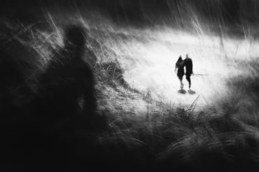 Ethereal Path With Shadow