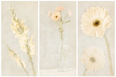Faded Floral Triptych