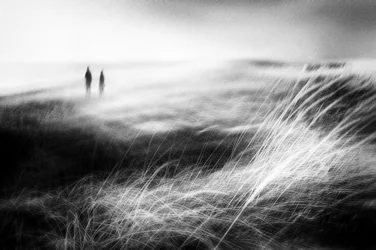 Misty Coastal Journey