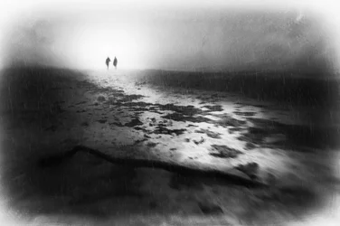 Misty Winter Walk