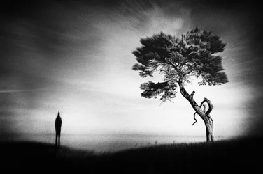 Solitary Figure Lone Tree
