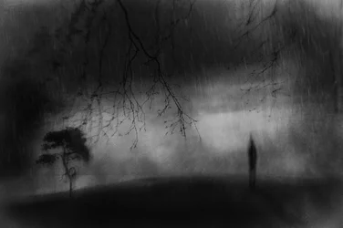 Solitary Figure Rainy Landscape