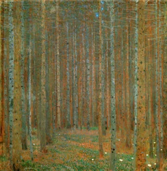 Fir Forest I