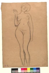 Standing Female Nude