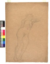 Female Nude from Below