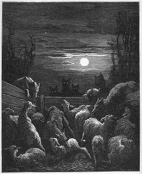 Les Loups et les Ebis - from 