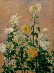 White and Yellow Chrysanthemums