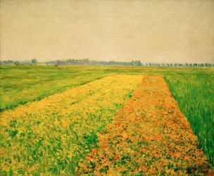 The Plain of Gennevilliers, Yellow Fields