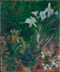 Orchids in the Greenhouse of Petit Gennevilliers, 1893