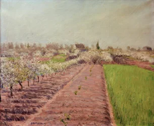 Apple Trees in Bloom, Hillside of Colombes