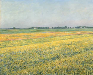 The Plain of Gennevilliers, Yellow Fields