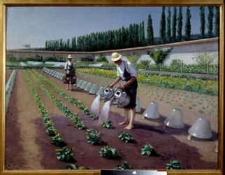 The gardeners