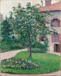 Tree in Blossom, 1882