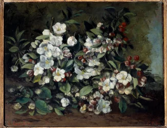 Cherry blossoms or apple branches in bloom