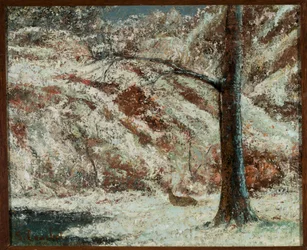 A Roe Deer in the Snow in the Forest