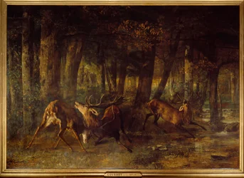 Spring Rut, Deer Fight