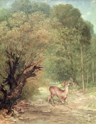 The Hunted Roe-Deer on the alert, Spring
