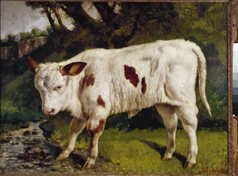 The Calf