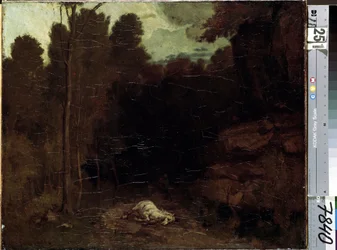 Unknown Image