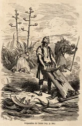 Preparation of Aloe or Agave d