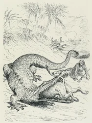 The Adventures of the Baron of Munchausen: The fearless Baron of Munchausen pursued by a lion crosses the path of a huge crocodile that will devour the lion. Illustration by Gustave Doré