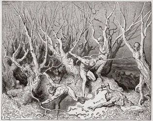 The Divine Comedy (La Divina Commedia, La Divine Comédie), Inferno, Canto 13: The suicides flee the forest - by Dante Alighieri (1265-1321) - Illustration by Gustave Doré (1832-1883)