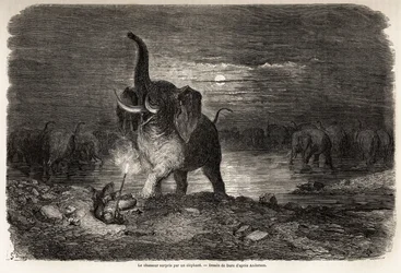 The hunter surprised by an elephant, near Lake Ngami, drawing by Gustave Dore, to illustrate the adventures and hunts of Charles Jean Anderson in southern Africa. Engraving in 