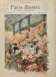 Exhibition of azaleas in the greenhouses of the city of Paris (Serres d