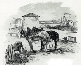 Horses Used for Towing the Boats of the Canal Saint-Denis, Quai de la Gironde, Villette Paris