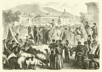 Annual fair of the town of Alcala, Spain