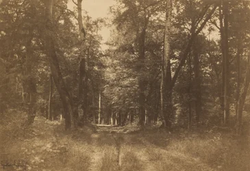 Bas-Bréau, Forest of Fontainebleau, 1849-1852