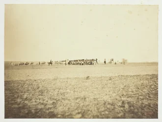 Untitled [cavalry]