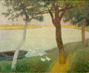 Ducks at the River Leie