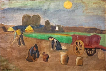 Potato Harvest