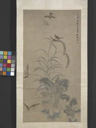 Cabbage, Millet and Sparrows