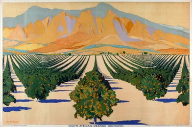 South African Orange Orchards, from the Series 