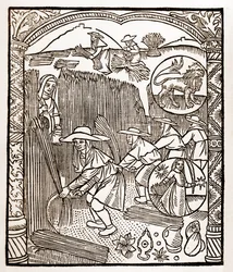 Shepherd