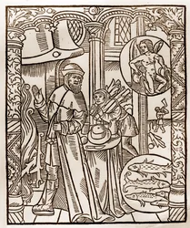 Shepherd
