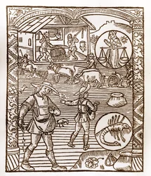 Shepherd